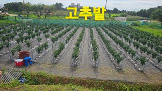 장철식님의 자유주제 · 자유게시판 작성글 사진