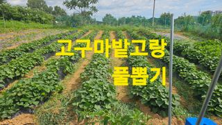 장철식님의 자유주제 · 자유게시판 작성글 사진