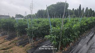 차상만님의 자유주제 · 자유게시판 작성글 사진