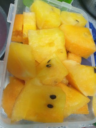 게으른뱅이잔디꽃님의 자유주제 · 자유게시판 작성글 사진
