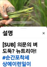 권리를위한투쟁님의 자유주제·자유게시판 작성글 사진