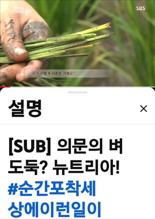 권리를위한투쟁님의 자유주제 · 자유게시판 작성글 사진