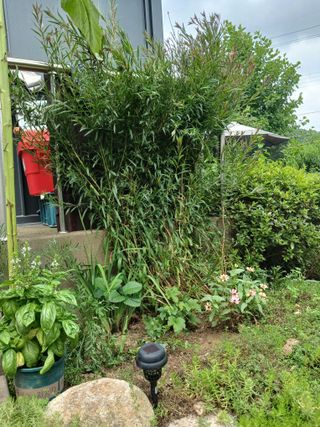 금동이네님의 자유주제 · 자유게시판 작성글 사진