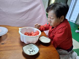 게으른뱅이잔디꽃님의 자유주제 · 자유게시판 작성글 사진