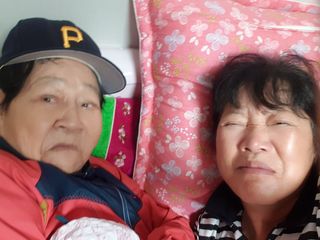 최순 잔디꽃농장님의 자유주제 · 자유게시판 작성글 사진