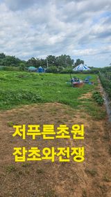 팜모닝 자유주제·자유게시판 게시글 이미지