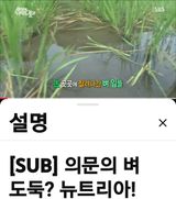 팜모닝 자유주제·자유게시판 게시글 이미지
