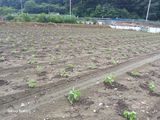 송명자님의 자유주제·자유게시판 작성글 사진