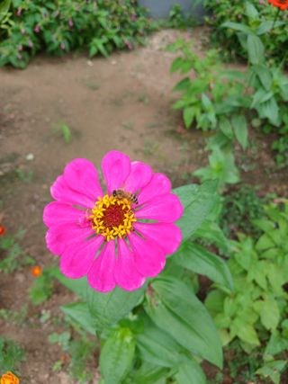 연향님의 자유주제 · 자유게시판 작성글 사진