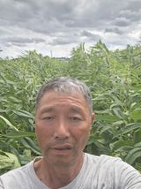 팜모닝 자유주제·자유게시판 게시글 이미지