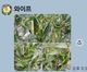 홈 갤러리 이미지