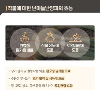 누보농장님의 자유주제 · 자유게시판 작성글 사진