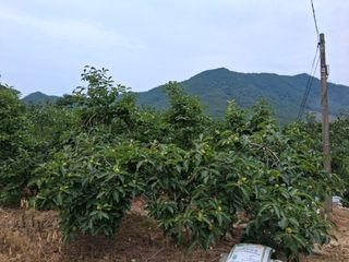 느랫골농장 가족님의 자유주제 · 자유게시판 작성글 사진