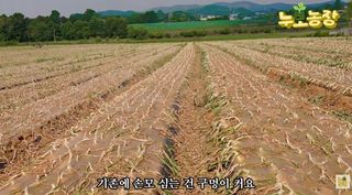 누보농장님의 자유주제 · 자유게시판 작성글 사진