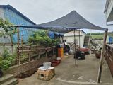 팜모닝 자유주제·자유게시판 게시글 이미지