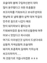 삼성농산님의 파·자유게시판 작성글 사진