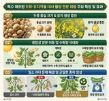 한농농약종묘사님의 참깨·자유게시판 작성글 사진