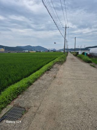 사천시향촌동 돼지띠님의 자유주제 · 자유게시판 작성글 사진