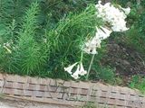 안길원님의 자유주제·자유게시판 작성글 사진