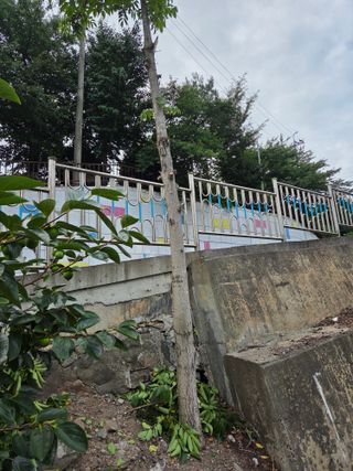 김용대님의 자유주제 · 자유게시판 작성글 사진