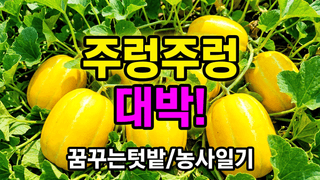 꿈꾸는텃밭님의 자유주제 · 자유게시판 작성글 사진