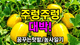 홈 갤러리 이미지