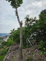 김용대님의 자유주제·자유게시판 작성글 사진