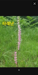 팜모닝 자유주제·자유게시판 게시글 이미지