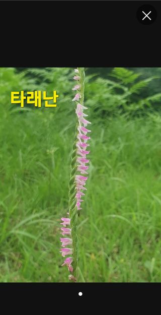 인생은 소풍처럼~님의 자유주제·자유게시판 작성글 사진