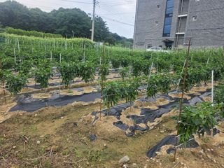 노정태님의 자유주제 · 자유게시판 작성글 사진