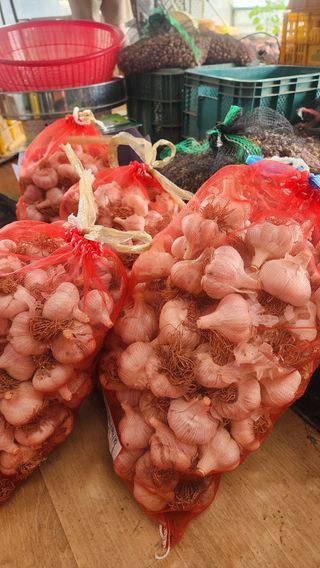 조한솔님의 작성글 사진