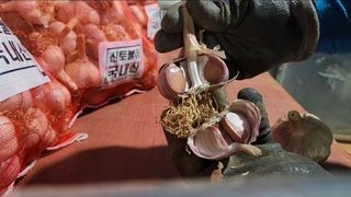 조한솔님의 작성글 사진