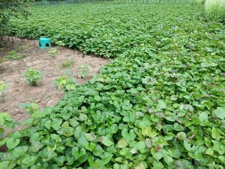 전국하님의 자유주제 · 자유게시판 작성글 사진