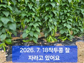 박성민님의 자유주제 · 자유게시판 작성글 사진