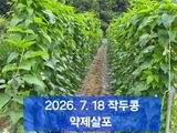 박성민님의 자유주제·자유게시판 작성글 사진