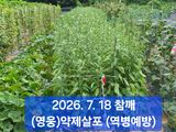 박성민님의 자유주제·자유게시판 작성글 사진
