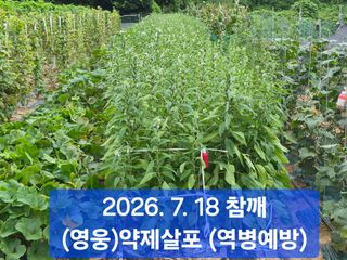 박성민님의 자유주제 · 자유게시판 작성글 사진