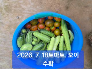 박성민님의 자유주제 · 자유게시판 작성글 사진