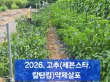 팜모닝 자유주제·자유게시판 게시글 이미지