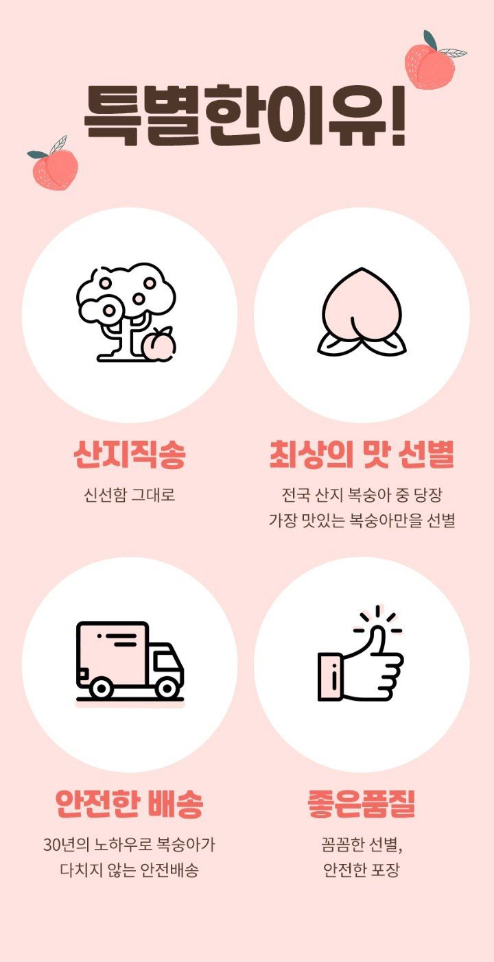 자두14488님의 장터 판매 상품 [신비 복숭아 2kg 하얀색 과육 여름이준 달콤한 선물 향긋한 천도 복숭아 납작 황도 백도] 첨부 사진
