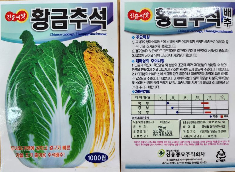 안산제일농약사님의 장터 판매 상품 [황금추석배추 1000립] 첨부 사진