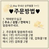팜모닝 자유주제·자유게시판 게시글 이미지
