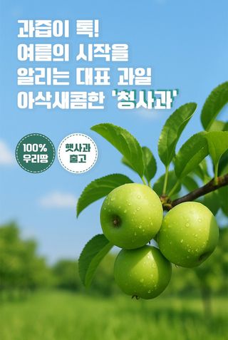 김태혁님의 작성글 사진