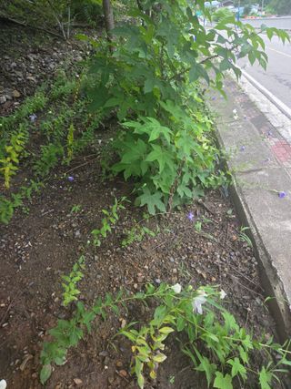 김용대님의 자유주제 · 자유게시판 작성글 사진
