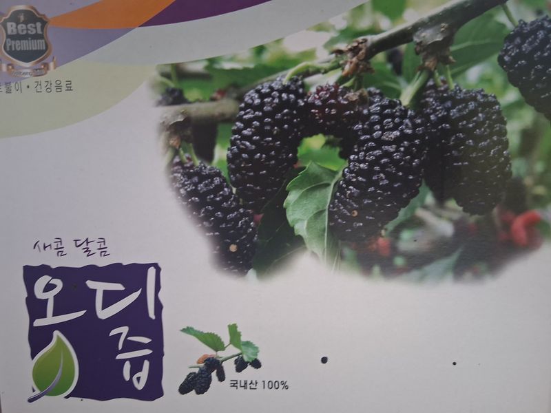 류남열님의 장터 판매 상품 [오디즙] 첨부 사진