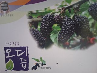 류남열님의 작성글 사진