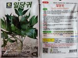 팜모닝 · 게시글 이미지
