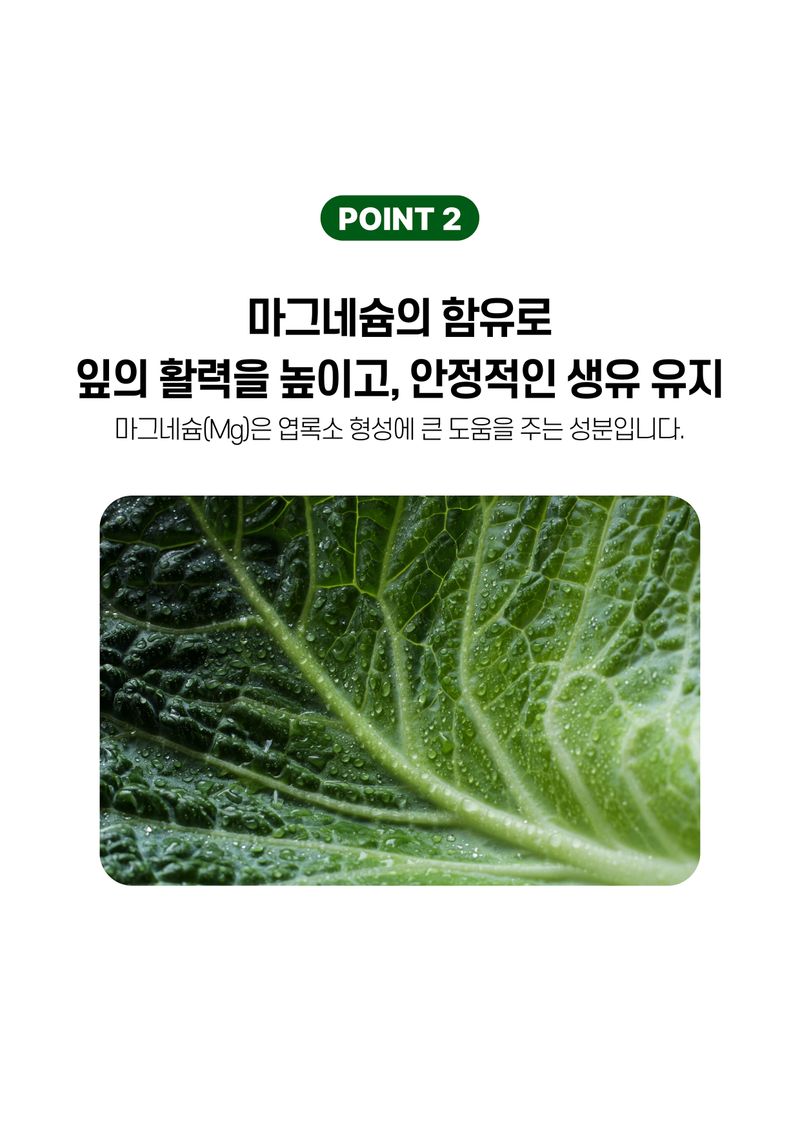 파머스케어님의 장터 판매 상품 [배추칼슘500ml 배추무밭에1kg 배추 무 복합비료 칼슘 마그네슘 미량요소 밑비료 거름 ] 첨부 사진