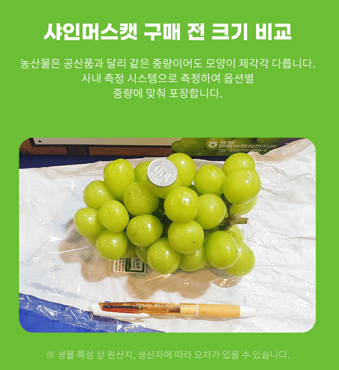 메종루엘님의 장터 판매 상품 [샤인머스켓 ] 첨부 사진