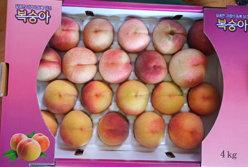 윤인숙님의 장터 판매 상품 [향기로운 황도, 아삭한 백도 4KG] 첨부 사진